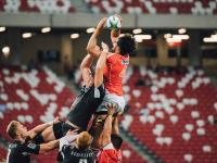 开云APP-跨越太平洋的荣耀时刻，广东末节风暴与克莱的世界杯接管