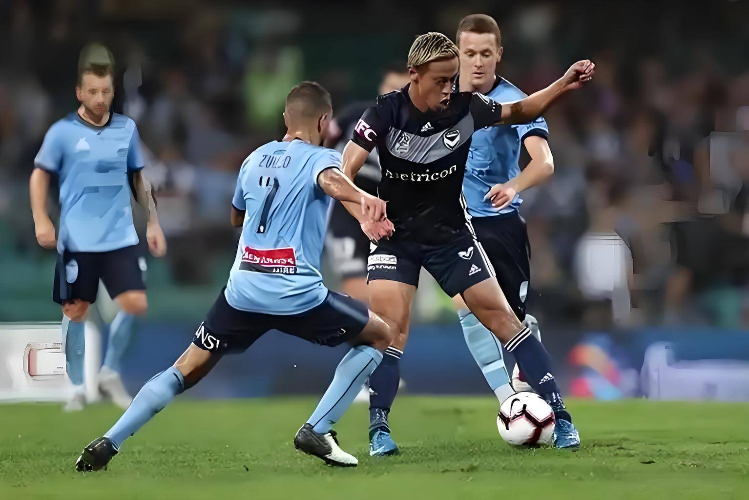 澳洲前场快速反击，逼平实力强队的简单介绍