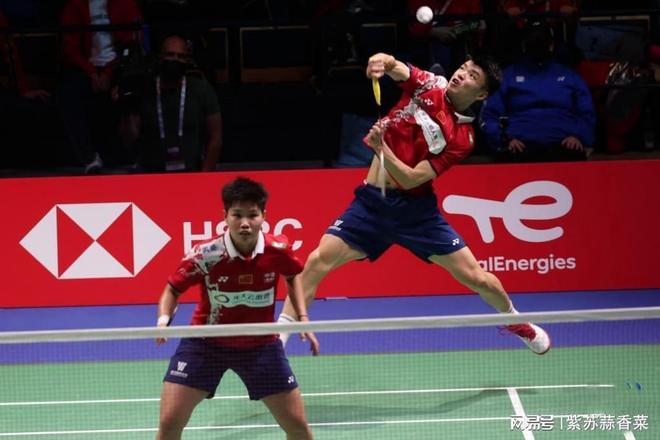 丹麦队险胜德国队，黄鸭组合高光表现的简单介绍